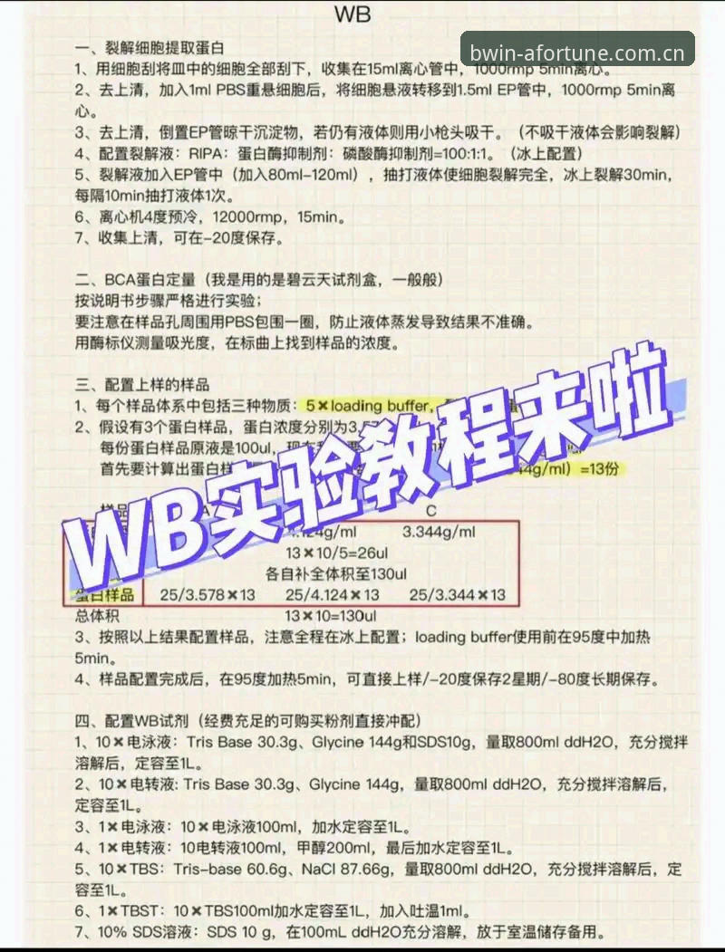 BWIN活动实操指南：掌握v2.3.0新特性与提现技巧