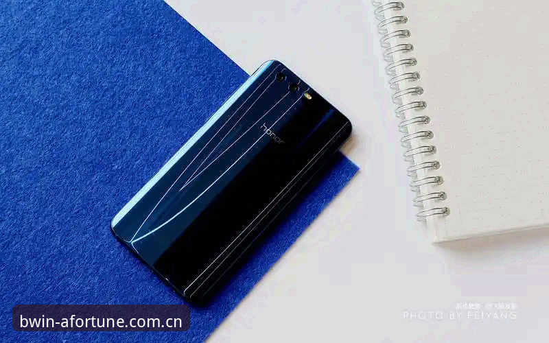 BWIN博彩平台推荐 为什么BWIN博彩平台推荐值得新手尝试?从注册到投注的全流程解析
